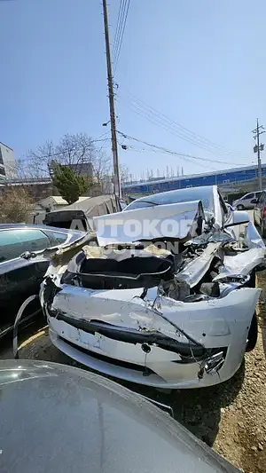 2021, Tesla / Model Y, 54980 км., electric