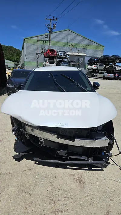 2024, Kia / ev6, VIN: KNAC381AFRA221411, 98777 км., electric