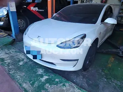 2020, Tesla / Model 3, 80000 км., electric, 225 куб.см.