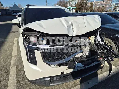 2024, Kia / Carnival, hybrid, 1600 куб.см.