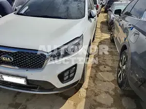 2017, Kia / Sorento, VIN: KNAPK81BDHA349043, diesel