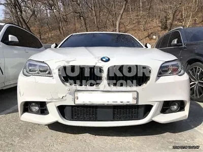 2016, BMW / 520, VIN: WBA5E5109GG203387, 193529 км., diesel