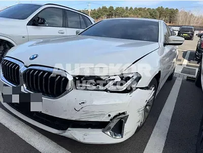 2023, BMW / 520, gas
