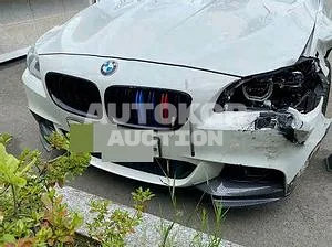 2016, BMW / 520, VIN: WBA5E7103GG566098, 64298 км., diesel, 1995 куб.см.