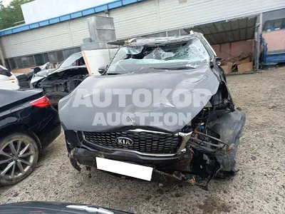 2019, Kia / Sorento, VIN: KNAPS811BKA543042, 52667 км., gas
