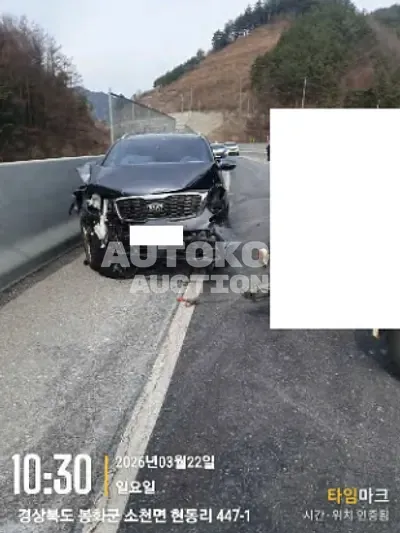 2019, Kia / Sorento, diesel