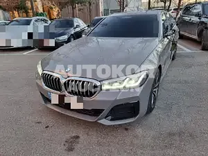 2021, BMW / 520, VIN: WBA11BH03MCG83852, gas