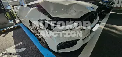 2017, BMW / 530, VIN: WBAJC9102HG941836, 165845 км., diesel