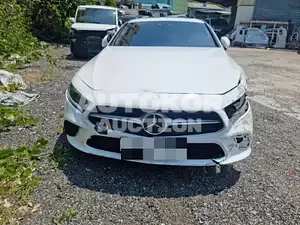 2019, Mercedes-Benz / CLS 400, VIN: WDD2J2DB5KA016419, diesel