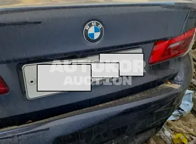2020, BMW / 520, VIN: WBAJK9102LCE89523, gas