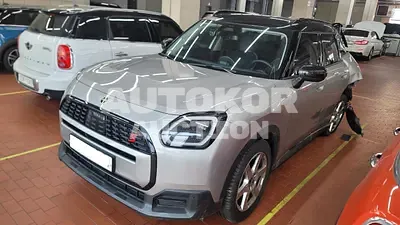 2024, MINI / Countryman, VIN: WMW21GA06R7P48797, gas