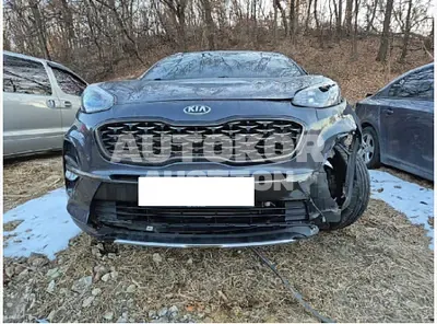 2019, Kia / Sportage, VIN: KNAP681ABKK718074, 107810 км., gas, 2000 куб.см.