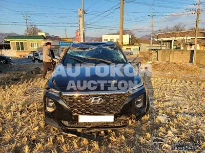 2019, Hyundai / Santa FE, VIN: KMHS381CBKU019453, diesel