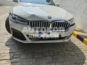 2022, BMW / 530, 21581 км., gas