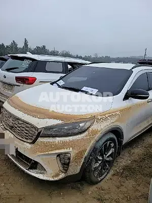 2018, Kia / Sorento, VIN: KNAPS811BJA461637, 80000 км., diesel, 1995 куб.см.