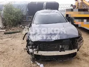 2020, Hyundai / Santa FE, VIN: KMHS281HGMU326998, 100000 км., diesel, 2151 куб.см.