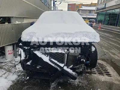 2019, Hyundai / Santa FE, VIN: KMHS381CDKU156880, diesel
