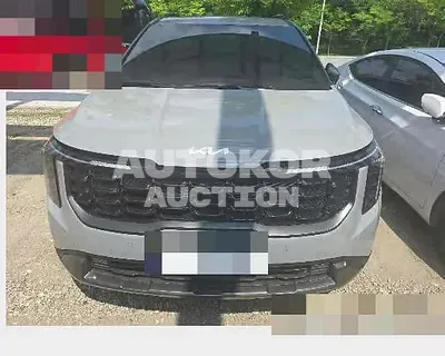 2025, Kia / Carnival, 2854 км., diesel, 2151 куб.см.