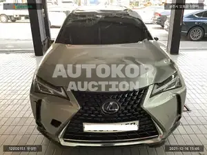 2020, Lexus / UX 250, VIN: JTHP6JBHXL2049123, hybrid