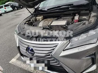 2019, Lexus / RX 450, 50333 км., hybrid