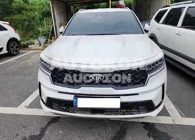 2021, Kia / Sorento, VIN: KNARH81BGMA062389, diesel