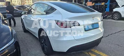 2024, Tesla / Model Y, 100000 км., electric, 173 куб.см.