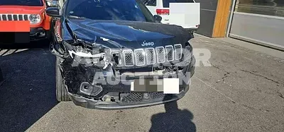 2020, Jeep / Cherokee, 52039 км., gas, 2360 куб.см.