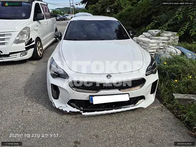 2020, Kia / Stinger, VIN: KNAE351DBMS091097, 129027 км., gas