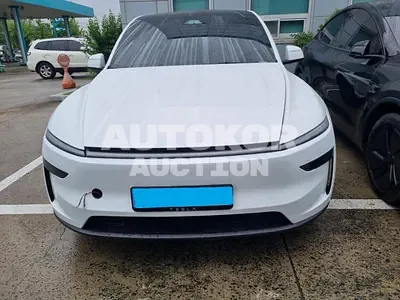 2025, Tesla / Model Y, VIN: LRWYGCFJ5SC206008, 9840 км., electric, 1 куб.см.