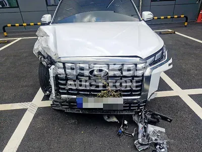 2023, Hyundai / Palisade, 35000 км., diesel, 2200 куб.см.
