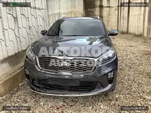 2019, Kia / Sorento, VIN: KNAPH81ABLA556794, diesel, 1995 куб.см.