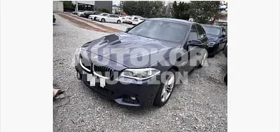 2016, BMW / 520, 166115 км., diesel, 1995 куб.см.