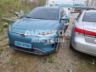 2019, Hyundai / Kona, VIN: KMHK281GFKU010192, electric, 180 куб.см.