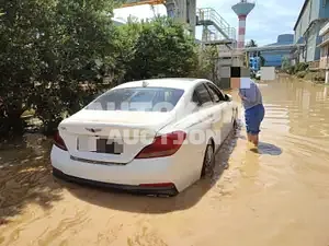 2019, Genesis / G70, 60000 км., gas