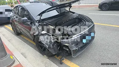 2026, Tesla / Model Y, 8184 км., electric