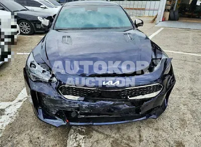 2022, Kia / Stinger, VIN: KNAE551CDNS117023, 15233 км., gas