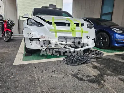 2024, Tesla / Model Y, VIN: LRWYGCFS8RC206099, 2000 км., electric