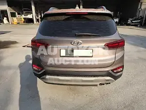 2019, Hyundai / Santa FE, VIN: KMHS381CDLU246684, diesel, 2199 куб.см.