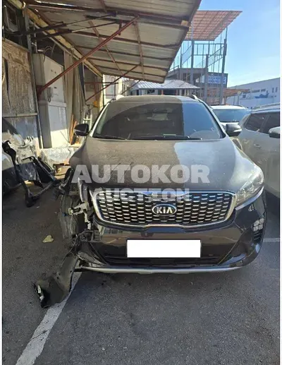 2019, Kia / Sorento, VIN: KNAPH81BBKA488792, 61920 км., diesel