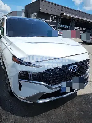 2020, Hyundai / Santa FE, VIN: KMHS581HGMU344512, 60314 км., diesel, 2151 куб.см.