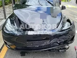 2022, Tesla / Model Y, VIN: 7SAYGDEE6NF416334, electric