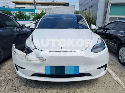 2023, Tesla / Model Y, electric