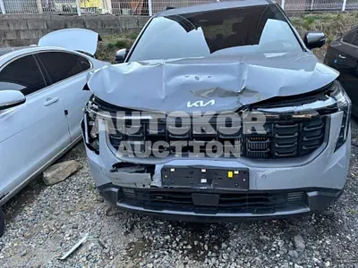 2024, Kia / Carnival, hybrid
