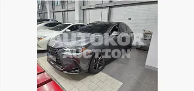 2025, Lexus / nx350h, 15618 км., hybrid, 2487 куб.см.