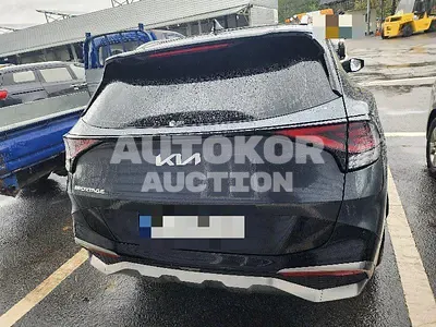 2023, Kia / Sportage, gas, 1600 куб.см.