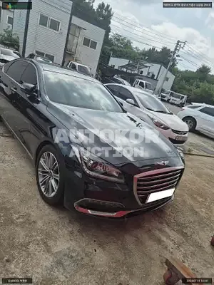 2016, Genesis / G80, VIN: KMHGL41DBHU201591, gas