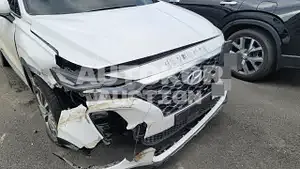 2019, Hyundai / Santa FE, VIN: KMHS281CBLU256464, diesel