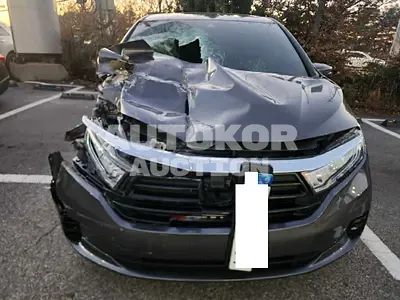 2022, Honda / Odyssey, VIN: 5KBRL6890NB600078, gas