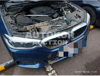 2020, BMW / 520, 250052 км., diesel, 1995 куб.см.