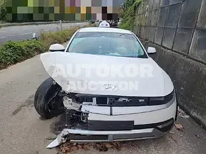 2021, Hyundai / Ioniq, VIN: KMHKL81AFNU056005, 195000 км., electric, 111 куб.см.